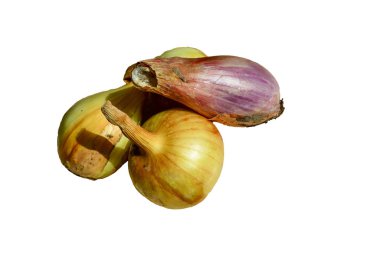 Genç soğan, yeni ürün, beyaz arka plan üzerinde izole