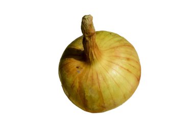 Genç soğan, yeni ürün, beyaz arka plan üzerinde izole