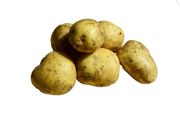 Patatas Nuevas Nuevas Cosechas Aisladas Sobre Fondo Blanco —  Fotos de Stock
