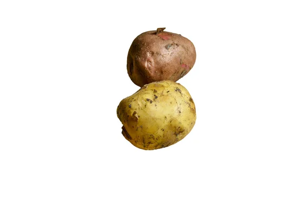 Νέες Πατάτες Νέες Καλλιέργειες Απομονωμένες Λευκό Φόντο — Φωτογραφία Αρχείου