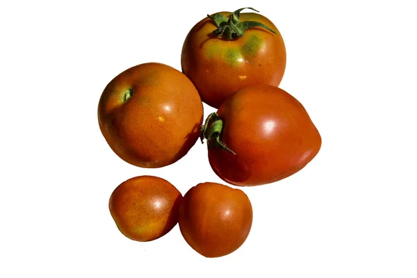 Tomates Pepinos Isolados Sobre Fundo Branco — Fotografia de Stock