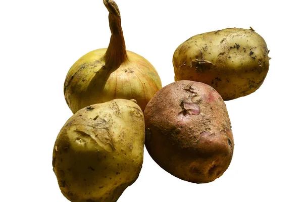 Neue Kartoffeln Und Zwiebeln Neue Ernte Isoliert Auf Weißem Hintergrund — Stockfoto