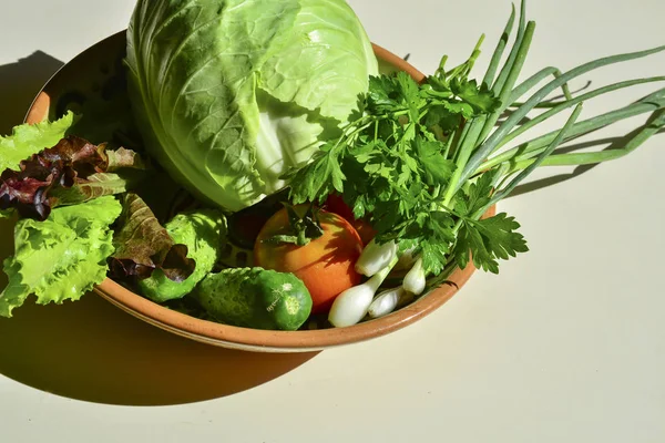 Verduras Crudas Plato Barro —  Fotos de Stock
