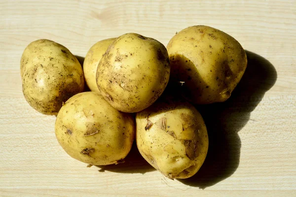 Neue Kartoffeln Neue Ernte — Stockfoto