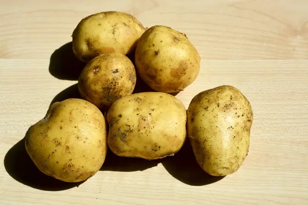 Batatas Novas Nova Colheita — Fotografia de Stock
