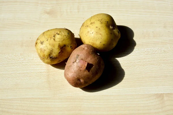 Νέες Πατάτες Νέες Καλλιέργειες — Φωτογραφία Αρχείου