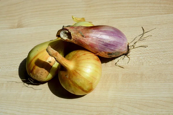 Onions Young Crop Food — Stock Photo, Image