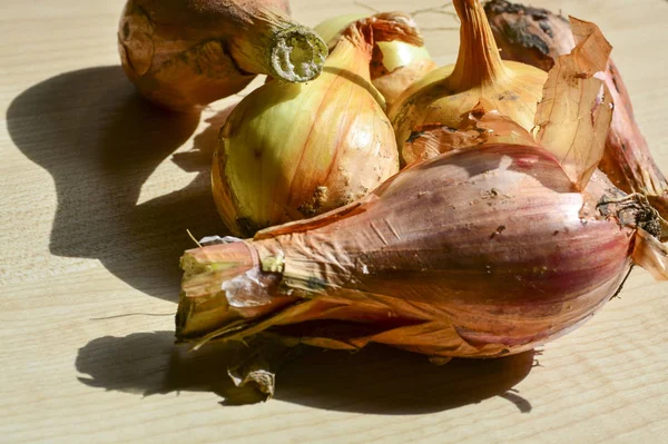 Onions Young Crop Food — Stock Photo, Image