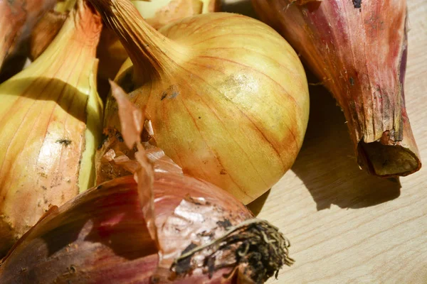 Onions Young Crop Food — Stock Photo, Image