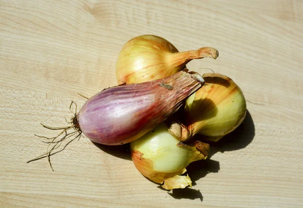 Onions Young Crop Food — Stock Photo, Image