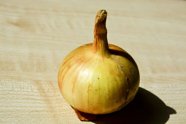 Onions Young Crop Food — Stock Photo, Image