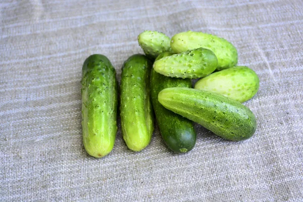 Verduras Frescas Pepinos Alimentos — Foto de Stock