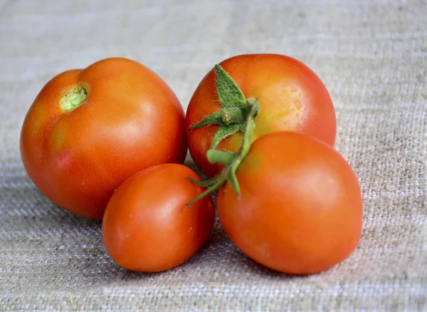 Frisches Gemüse Tomaten Lebensmittel — Stockfoto