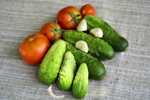 Fresh Vegetables Tomatoes Cucumbers Garlic — Stock Photo, Image