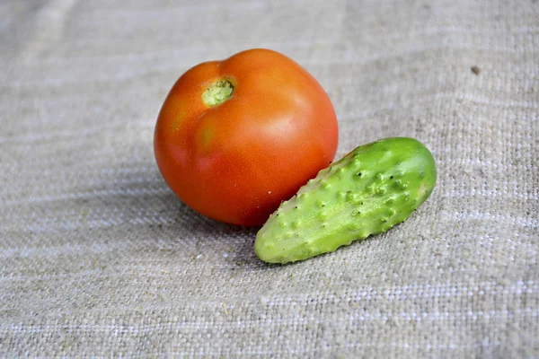 Frisches Gemüse Tomaten Gurken — Stockfoto