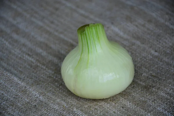 Fresh Vegetables Onion Food Ingredient — Stock Photo, Image