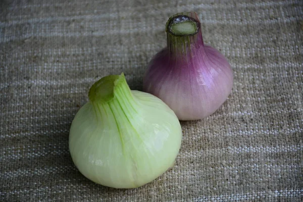 Verdure Fresche Cipolla Cibo Ingrediente — Foto Stock