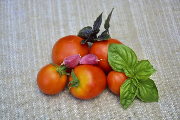 Frisches Gemüse Tomaten Knoblauch Basilikum — Stockfoto