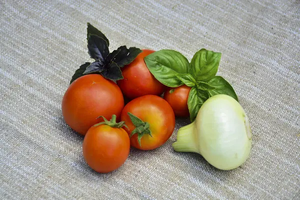 Frisches Gemüse Tomaten Zwiebeln Basilikum — Stockfoto