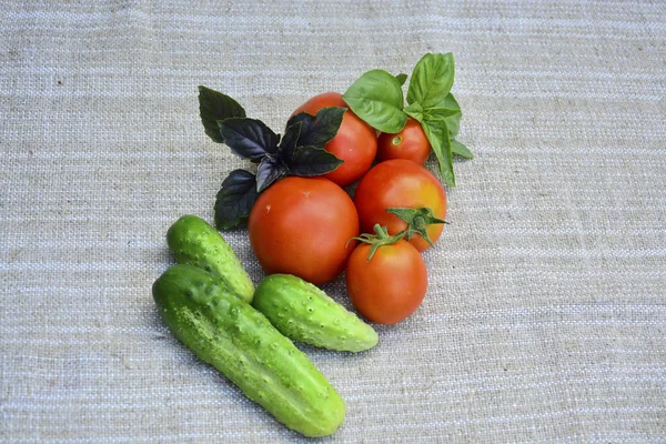 新鮮な野菜トマト きゅうり バジル — ストック写真