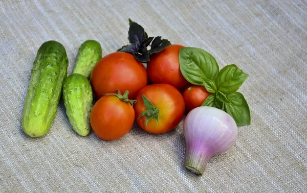 Légumes Frais Tomates Concombres Basilic Oignon — Photo