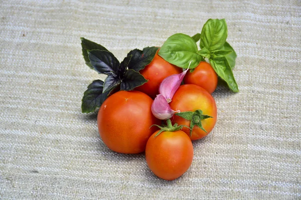 Frisches Gemüse Tomaten Knoblauch Basilikum — Stockfoto