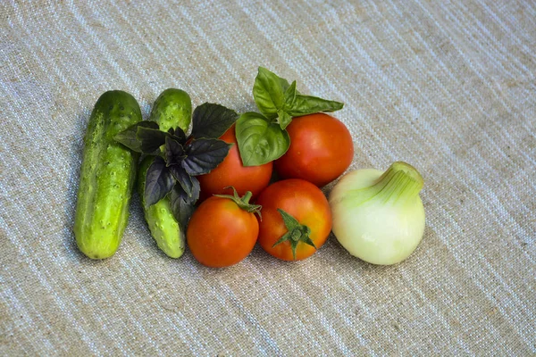新鮮な野菜トマト バジル きゅうり 玉ねぎ食品 — ストック写真