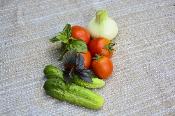 Verdure Fresche Pomodori Basilico Cetrioli Cipolle Alimenti — Foto Stock