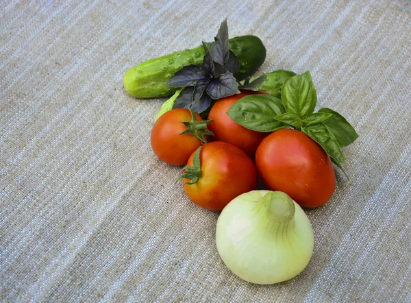 新鮮な野菜トマト バジル きゅうり 玉ねぎ食品 — ストック写真