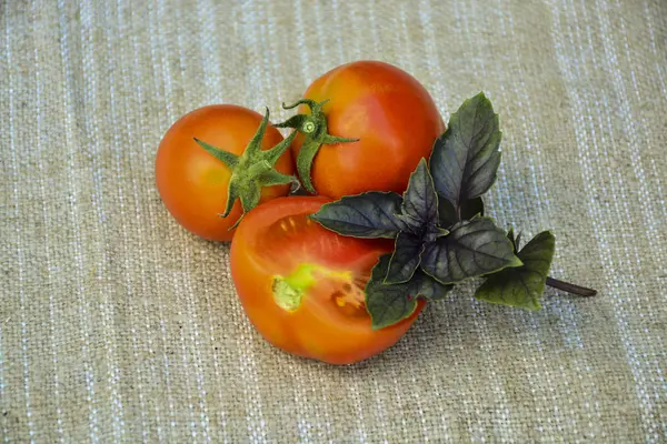 Frisches Gemüse Tomaten Basilikum Lebensmittel — Stockfoto