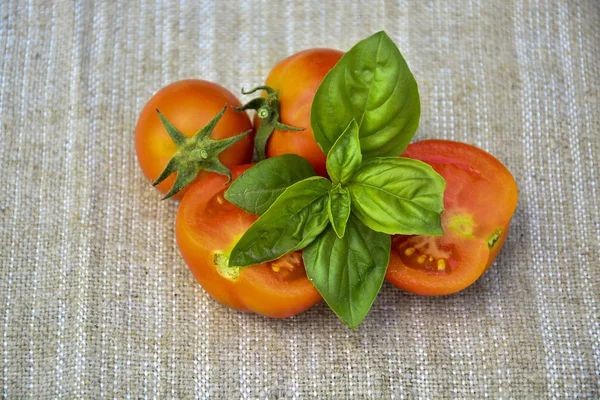 Frisches Gemüse Tomaten Basilikum Lebensmittel — Stockfoto