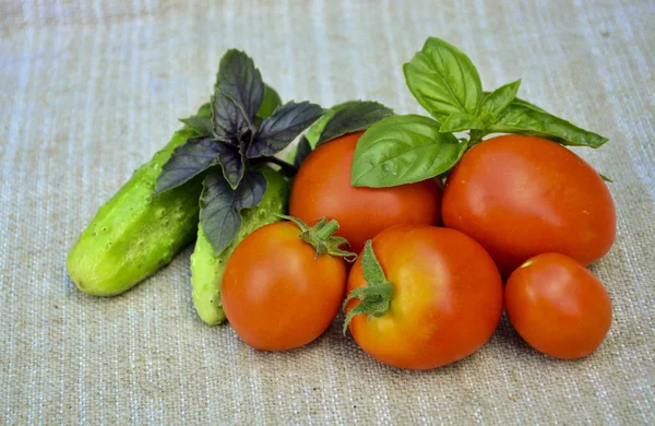 Frisches Gemüse Tomaten Gurken Basilikum Lebensmittel — Stockfoto