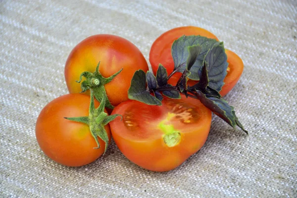 Frisches Gemüse Tomaten Basilikum Lebensmittel — Stockfoto