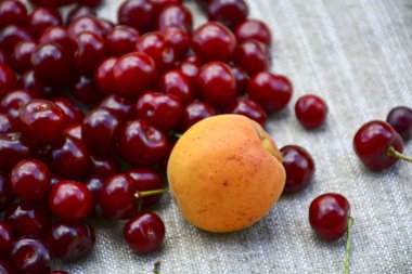 Islak olgun kiraz çiftliği bir demet closeup.