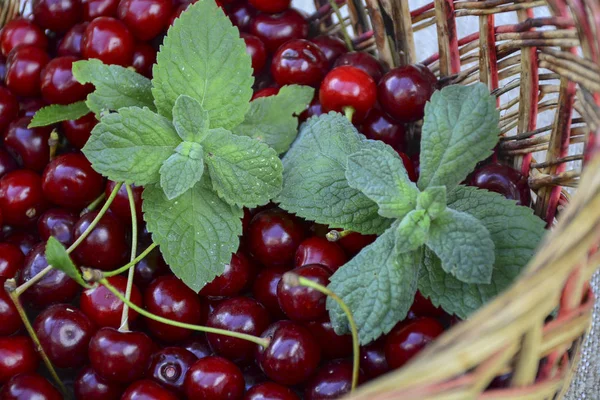 Cerises Fraîches Mûres Dans Panier Osier — Photo