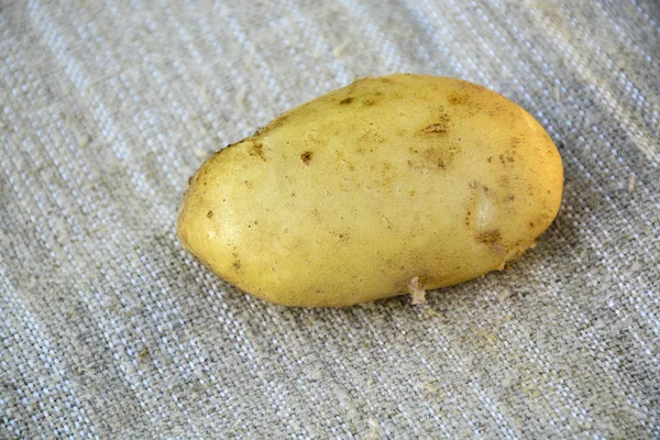 Картошка Новый Урожай Еда Овощи — стоковое фото