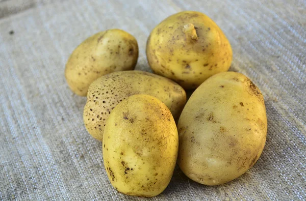 Patatas Nueva Cosecha Comida Hortalizas —  Fotos de Stock