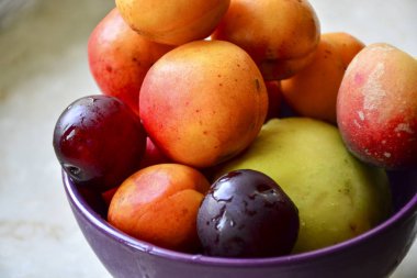 Kayısı, şeftali, elma ve erik renk düzeni ile mükemmel tezat mor bir tabak, sulu olgun meyve. Tüm gün için canlılık ve vitaminler mükemmel bir ücret.