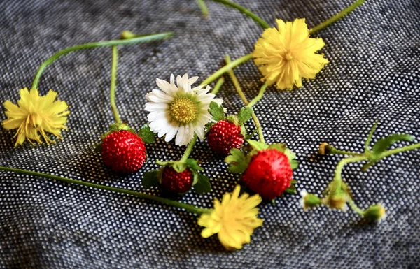 Rote Walderdbeeren Inmitten Kleiner Wunderschöner Wildblumen Auf Grauem Neutralem Hintergrund — Stockfoto