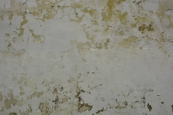 Beautiful Vintage Background Abstract Grunge Decorative Stucco Wall Texture Wide — Stock Photo, Image