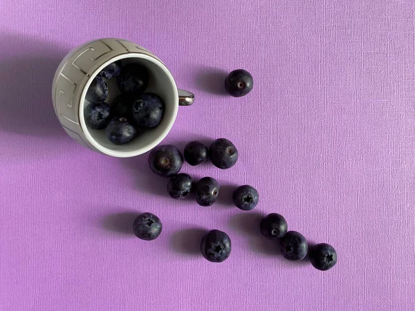 Ripe Juicy Fresh Picked Blueberries Closeup Berries Closeup — Stock Photo, Image