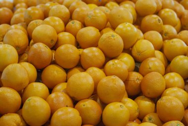 Taze piyasada portakal meyvesi