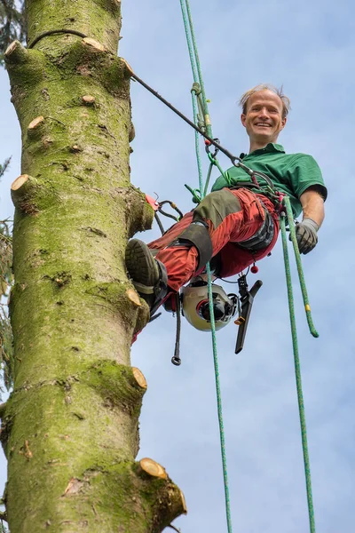 Beyaz Ağaç Cerrahı Ağaç Dalları Olmadan Ekipmanları Tırmanma Ile Tırmanma — Stok fotoğraf