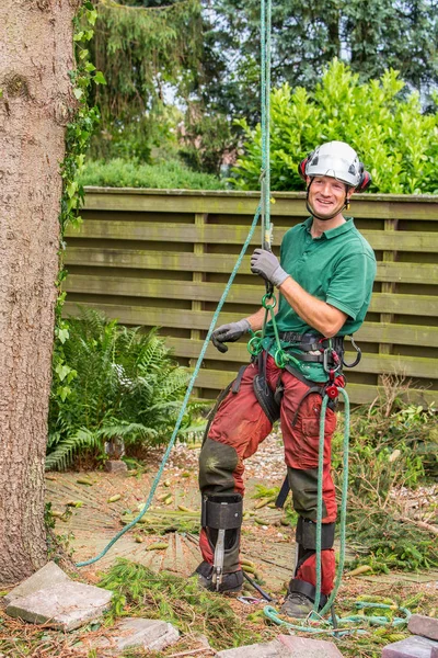 Kaukasischer Baumspezialist Steht Mit Kletterausrüstung Garten — Stockfoto