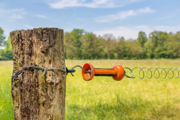 Electric Fence Handle Meadow Pole Countryside — Stock Photo, Image