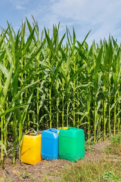 Пестициди Кольорових Баночках Ромашок Полі Кукурудзяними Рослинами — стокове фото