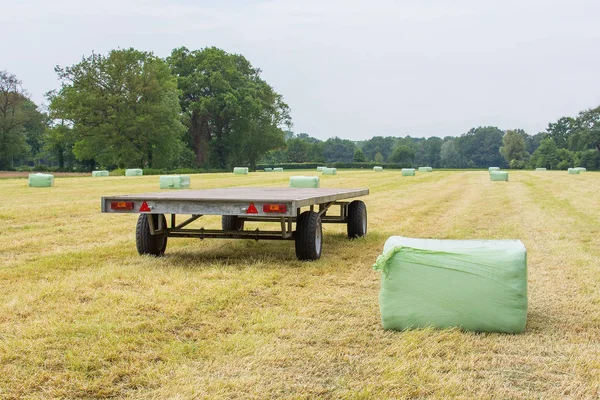 Trailer Mowed Dutch Meadow Plasticized Hay Bales — Stock Photo, Image
