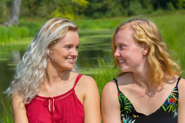 两个年轻的荷兰姐妹看着彼此在绿色性质 — 图库照片