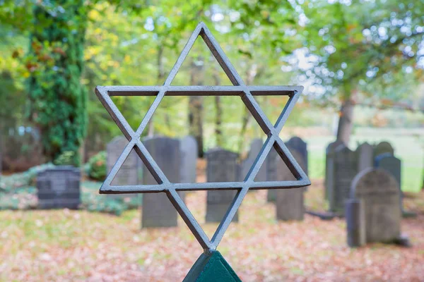 Jewish Graveyard Star David Trees — Stock Photo, Image