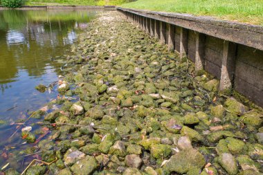 Kuru yaz aylarında düşük su seviyesi ile kentsel Hollandalı gölet